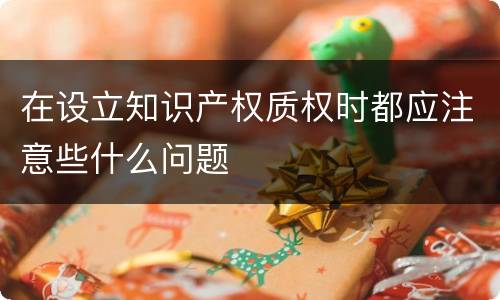 在设立知识产权质权时都应注意些什么问题