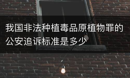 我国非法种植毒品原植物罪的公安追诉标准是多少
