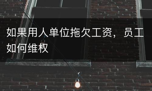 如果用人单位拖欠工资，员工如何维权