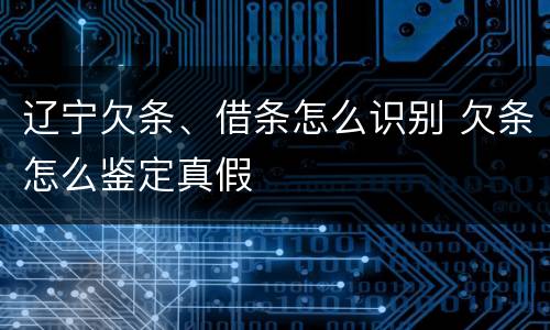 辽宁欠条、借条怎么识别 欠条怎么鉴定真假