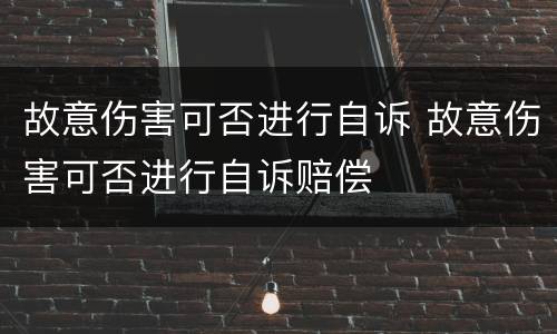 故意伤害可否进行自诉 故意伤害可否进行自诉赔偿