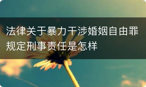 法律关于暴力干涉婚姻自由罪规定刑事责任是怎样