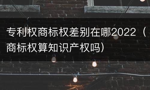 专利权商标权差别在哪2022（商标权算知识产权吗）