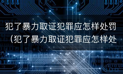 犯了暴力取证犯罪应怎样处罚（犯了暴力取证犯罪应怎样处罚呢）