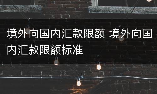 境外向国内汇款限额 境外向国内汇款限额标准