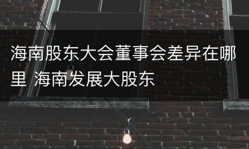 海南股东大会董事会差异在哪里 海南发展大股东