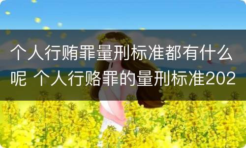 个人行贿罪量刑标准都有什么呢 个人行赂罪的量刑标准2020金额