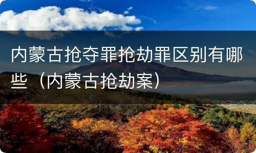 内蒙古抢夺罪抢劫罪区别有哪些（内蒙古抢劫案）