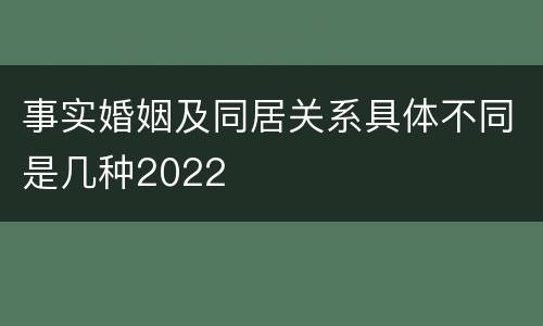 事实婚姻及同居关系具体不同是几种2022