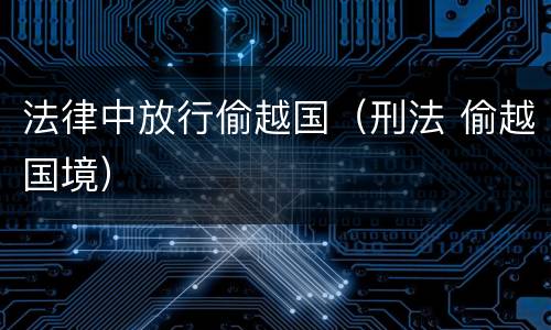 法律中放行偷越国（刑法 偷越国境）