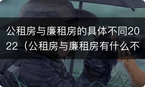 公租房与廉租房的具体不同2022（公租房与廉租房有什么不同）