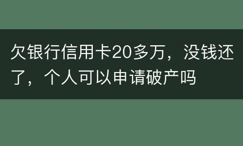 欠银行信用卡20多万，没钱还了，个人可以申请破产吗