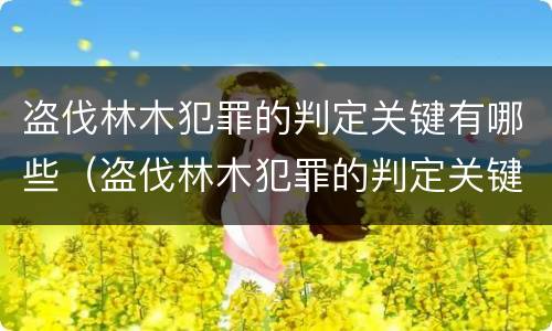 盗伐林木犯罪的判定关键有哪些（盗伐林木犯罪的判定关键有哪些条件）