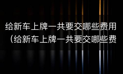 给新车上牌一共要交哪些费用（给新车上牌一共要交哪些费用呢）