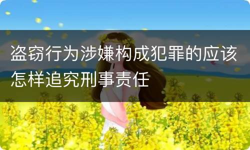 盗窃行为涉嫌构成犯罪的应该怎样追究刑事责任