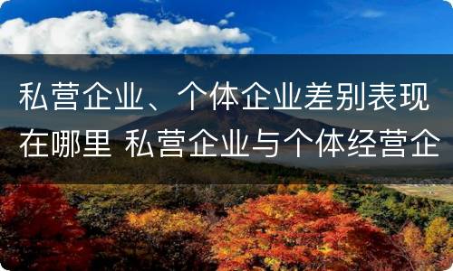 私营企业、个体企业差别表现在哪里 私营企业与个体经营企业的区别