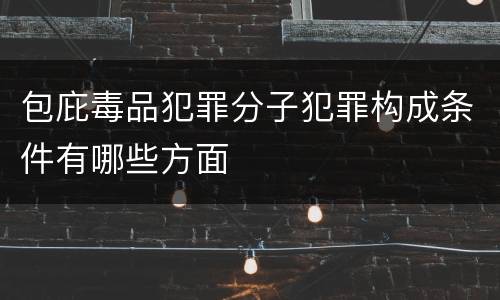 包庇毒品犯罪分子犯罪构成条件有哪些方面