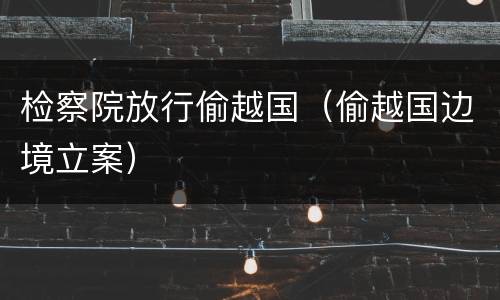 检察院放行偷越国（偷越国边境立案）