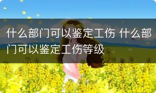 什么部门可以鉴定工伤 什么部门可以鉴定工伤等级