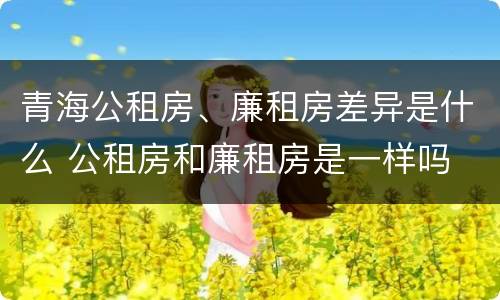 青海公租房、廉租房差异是什么 公租房和廉租房是一样吗