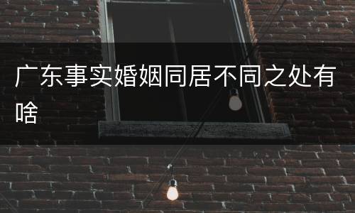 广东事实婚姻同居不同之处有啥