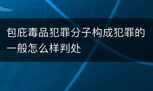 包庇毒品犯罪分子构成犯罪的一般怎么样判处