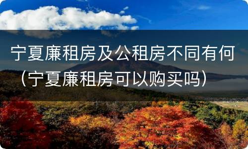 宁夏廉租房及公租房不同有何（宁夏廉租房可以购买吗）