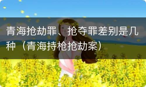 青海抢劫罪、抢夺罪差别是几种(青海持枪抢劫案)