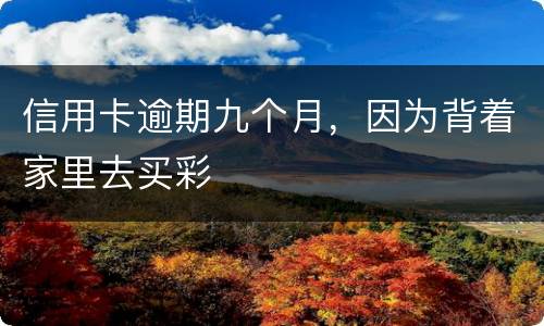 信用卡逾期九个月，因为背着家里去买彩