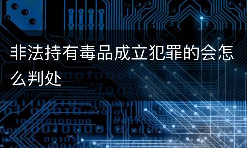 非法持有毒品成立犯罪的会怎么判处