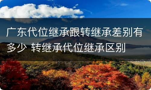 广东代位继承跟转继承差别有多少 转继承代位继承区别