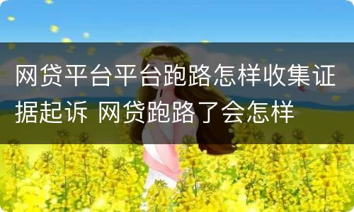 网贷平台平台跑路怎样收集证据起诉 网贷跑路了会怎样