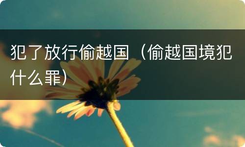 犯了放行偷越国（偷越国境犯什么罪）