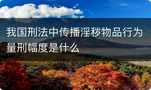 我国刑法中传播淫秽物品行为量刑幅度是什么