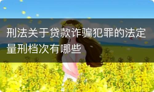 刑法关于贷款诈骗犯罪的法定量刑档次有哪些