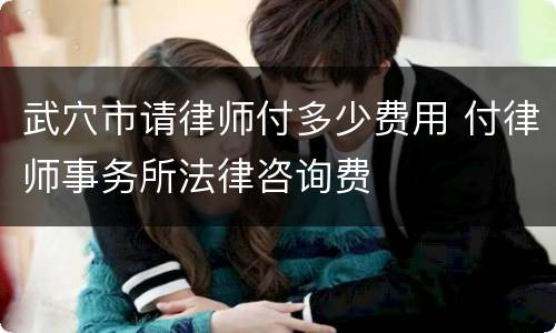 武穴市请律师付多少费用 付律师事务所法律咨询费