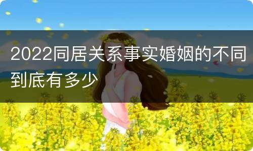 2022同居关系事实婚姻的不同到底有多少