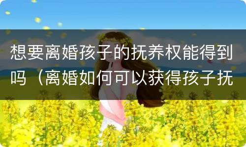 想要离婚孩子的抚养权能得到吗（离婚如何可以获得孩子抚养权）