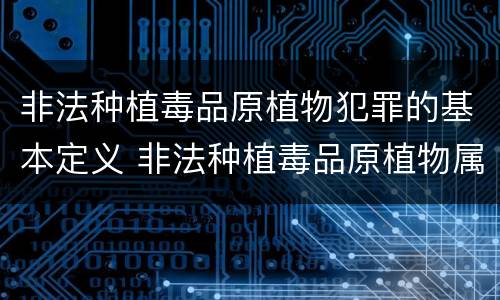 非法种植毒品原植物犯罪的基本定义 非法种植毒品原植物属于什么犯罪类型