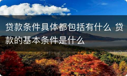 贷款条件具体都包括有什么 贷款的基本条件是什么