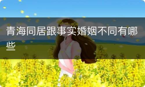 青海同居跟事实婚姻不同有哪些
