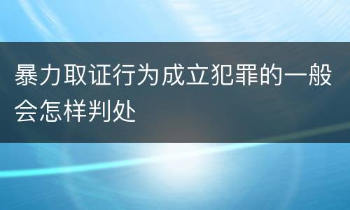 暴力取证行为成立犯罪的一般会怎样判处