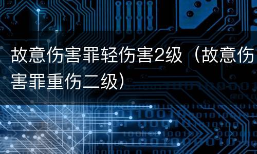故意伤害罪轻伤害2级(故意伤害罪重伤二级)