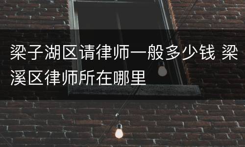 梁子湖区请律师一般多少钱 梁溪区律师所在哪里