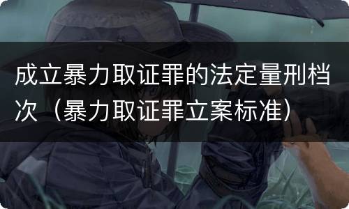 成立暴力取证罪的法定量刑档次（暴力取证罪立案标准）