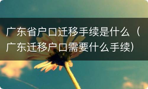 广东省户口迁移手续是什么（广东迁移户口需要什么手续）