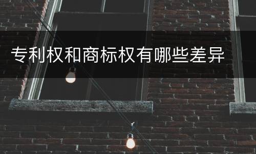 专利权和商标权有哪些差异