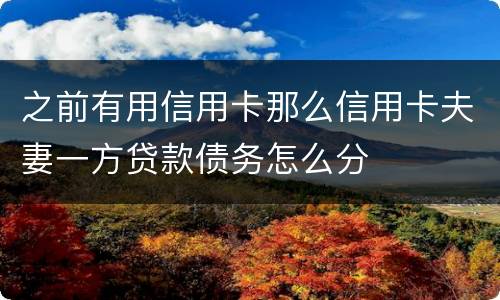 之前有用信用卡那么信用卡夫妻一方贷款债务怎么分