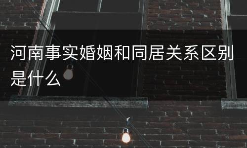 河南事实婚姻和同居关系区别是什么