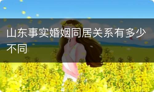 山东事实婚姻同居关系有多少不同